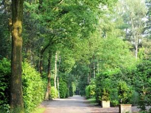 Beautiful house with air conditioning Vacation rental in North Brabant (province)