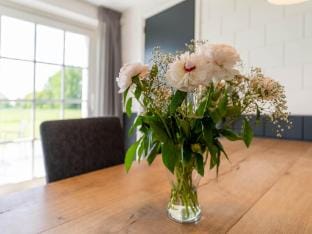 Beautiful holiday home with terrace Vacation rental in Overijssel (province)