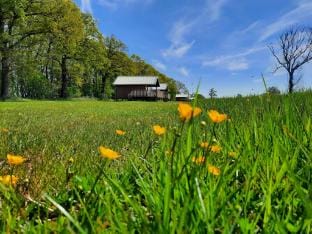 Lodge by Dutch Meadows with Scenic Veranda Vacation rental in Drenthe (province)