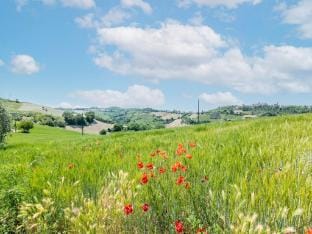 Belvilla by OYO Casa Del Nonno Vacation rental in Marche