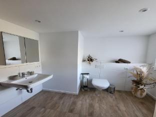 Regal Apartment in Pracht with Garden and Grill Apartment in Rhineland-Palatinate