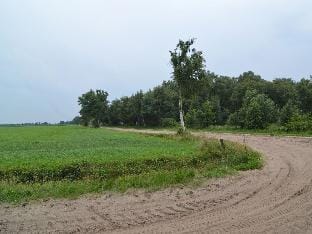 Comfortable holiday home with garden Vacation rental in Overijssel (province)