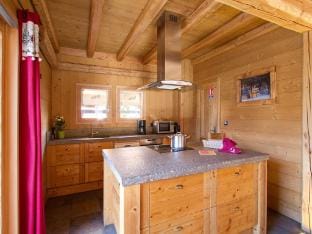 Beautiful chalet with sauna and private pool Vacation rental in Les Deux Alpes