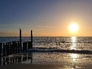 Beachside Getaway with Garden  barbecue Vacation rental in Zeeland, Netherlands