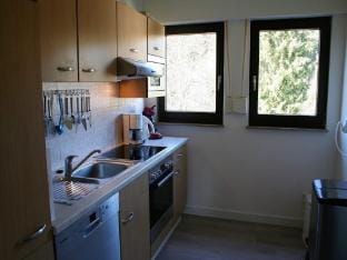 Ferienwohnung mit Balkon und Garten Apartment in Winterberg