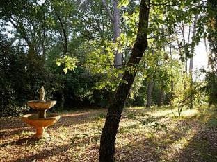 Family House in Provence with Pool and Garden Vacation rental in French Riviera