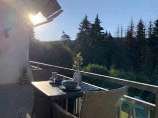 Flat on the Rothaargebirge with balcony Apartment in Medebach