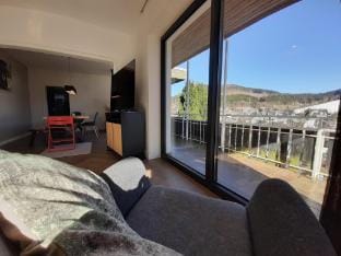 Villa in Winterberg near the ski area Vacation rental in Winterberg