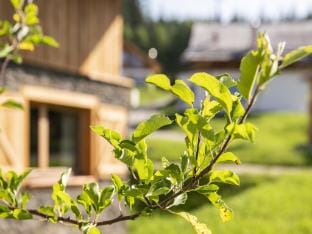 Cosy chalet in Wolting with natural swimming pond Vacation rental in Salzburgerland