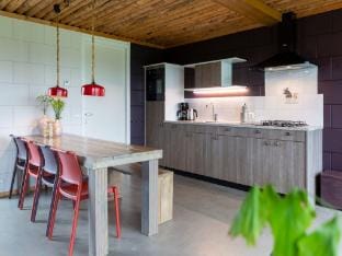 Chalet in Netherlands with Scenic Meadow Views Vacation rental in Overijssel (province)