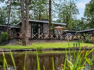 Modern Lakeview Cottage in Veluwe Vacation rental in Hoenderloo