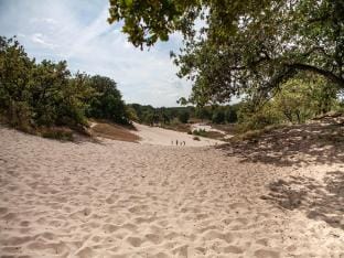 Wellness Home in Brabant with Private Spa Vacation rental in Limburg (province)