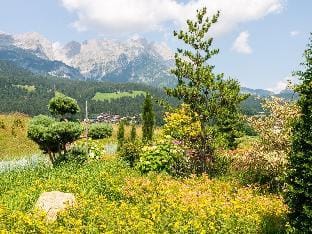 Apartment in Ellmau with Ski-In Access Vacation rental in Ellmau