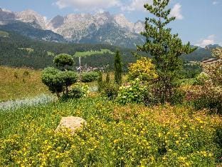 Apartment in Ellmau with Ski-In Access Vacation rental in Ellmau