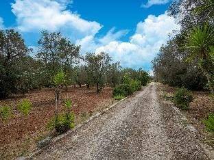 Belvilla by OYO villa azzurza Vacation rental in Province of Taranto