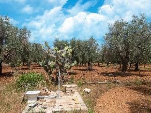 Belvilla by OYO villa azzurza Vacation rental in Province of Taranto
