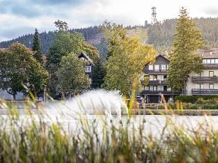 Hexenzauber Hahnenklee Vacation rental in Goslar