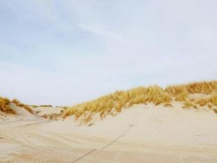 Restful Dune Chalet in Hollum Vacation rental in Friesland, Netherlands