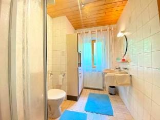 Ferienwohnung, Zenting Apartment in Upper Austria