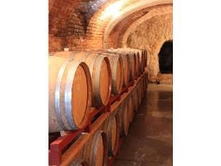 Barbera in Villa Pesce Vacation rental in Piedmont