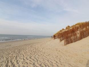 Beautiful chalet between golf course and beach Vacation rental in Friesland, Netherlands