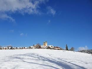 Landhuis Appartement Feldberg uitzicht Vacation rental in Baden-Württemberg