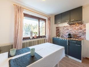 Idyllic apartment in Sibratsgfall Apartment in Vorarlberg, Austria