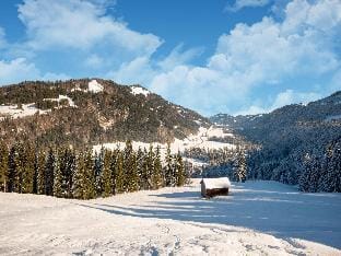 Idyllic apartment in Sibratsgfall Apartment in Vorarlberg, Austria