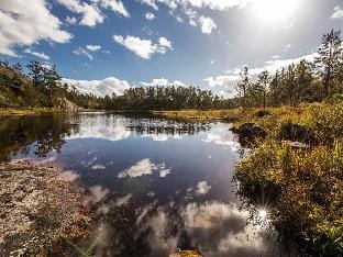 NisseHus Comfortable holiday residence Vacation rental in Viken, Norway