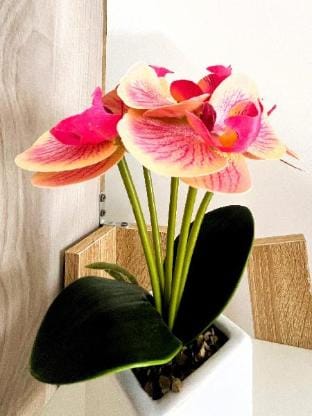 Studio Áp Mái Full Nội Thất - Sát bên Aeon Tân Phú Apartment in Ho Chi Minh City