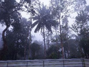 Stay and view by lake villa  Apartment in Kerala
