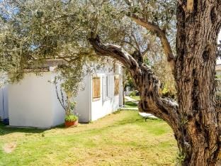 Salty shell Double room Νο107 Vacation rental in Skiathos
