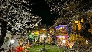 Lavender Cottage & Guest House Vacation rental in Pakistan