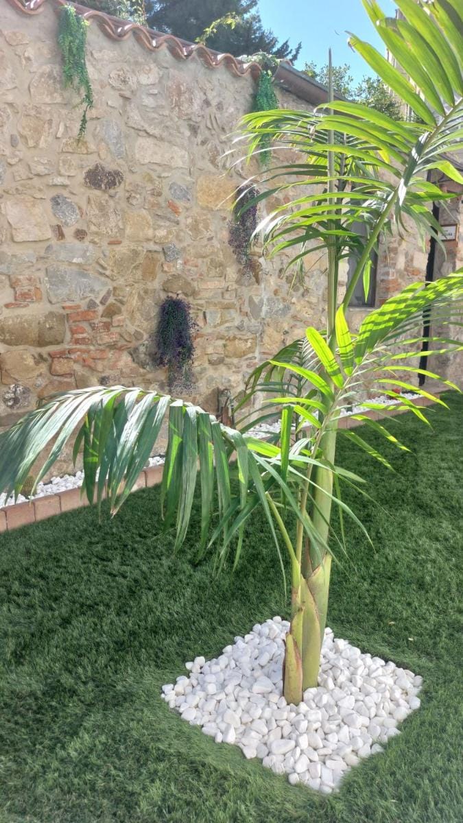 Golden house Bed and Breakfast in Cefalu