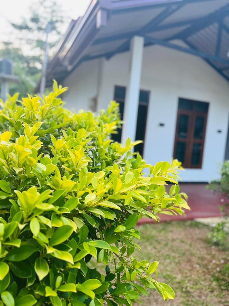TESHI SAFARI VILLA Bed and Breakfast in Uva Province, Sri Lanka