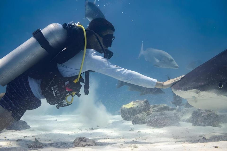 Getaway Divers Lodge - All inclusive Diving hotel Hotel in Maldives