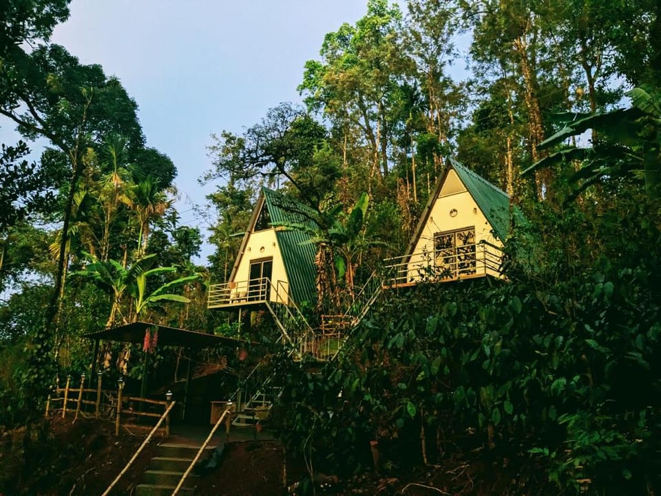 Coorgology- The estate stay Hotel in Kerala