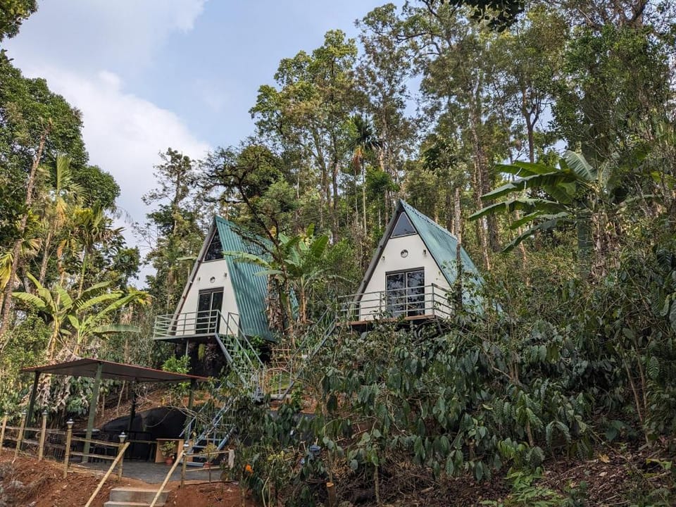 Coorgology- The estate stay Hotel in Kerala