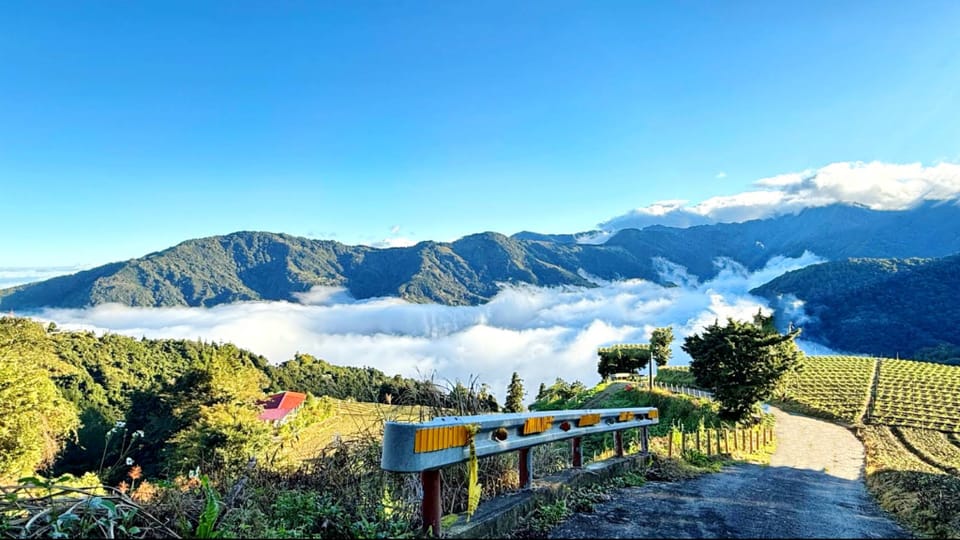 Zizaiju Forest Homestay Bed and Breakfast in Taiwan, Province of China