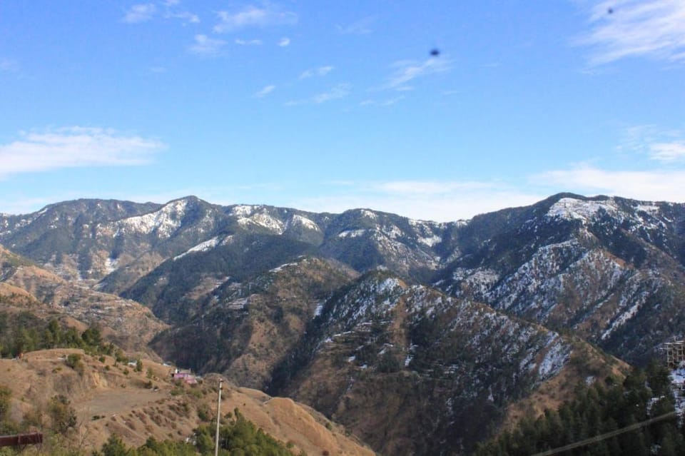 Silverpine Apartment & Homestay Vacation rental in Shimla