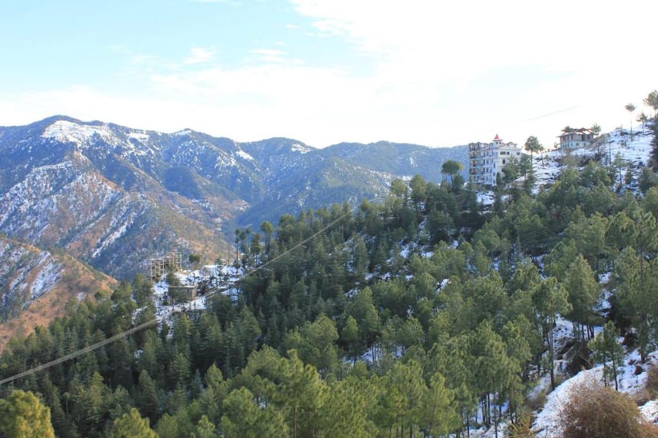 Silverpine Apartment & Homestay Vacation rental in Shimla