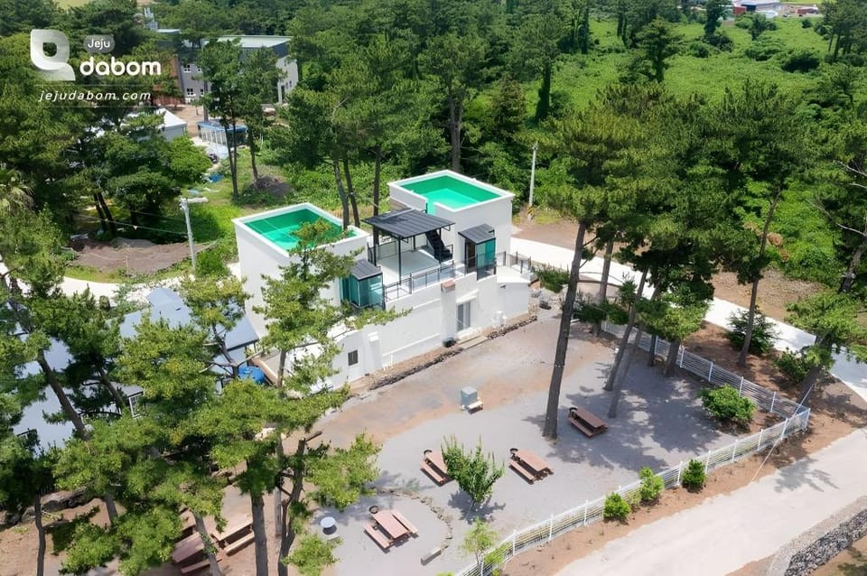 Pine Forest Pension Bed and Breakfast in South Korea