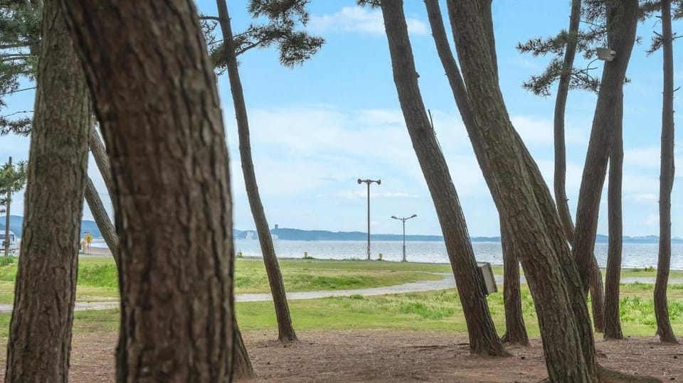 Taean Mongsanpo and the Sea Pension Bed and Breakfast in South Korea