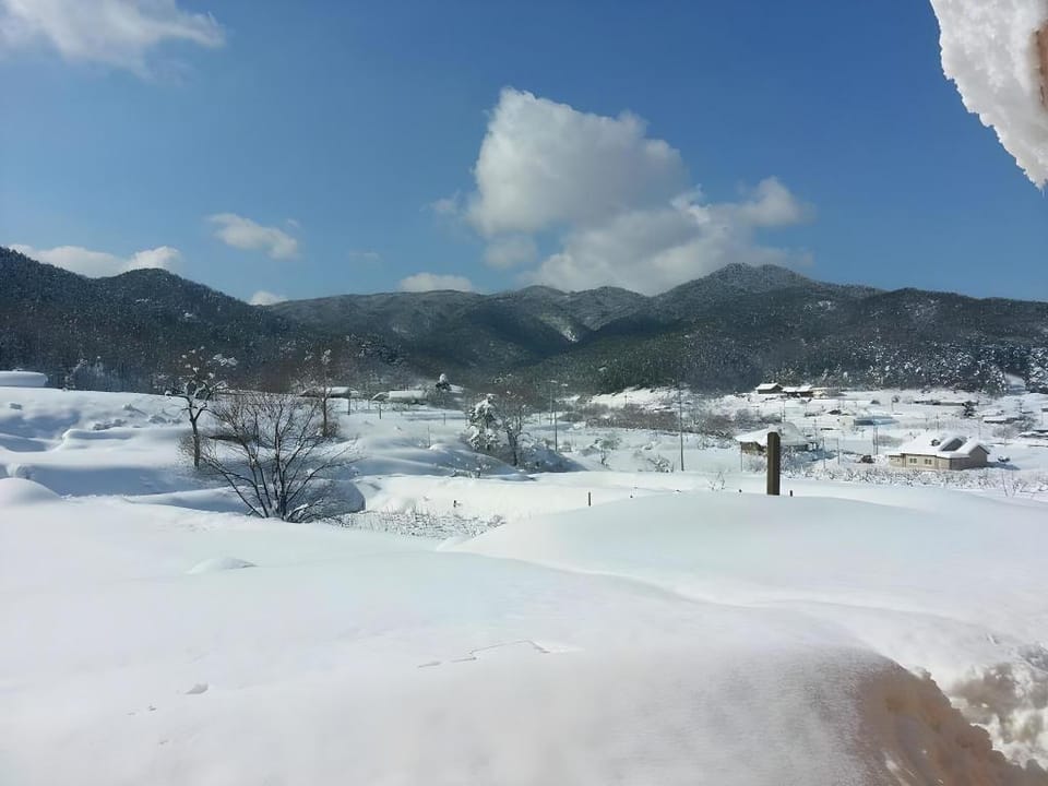 Red Clay Pension Dream Conversation Bed and Breakfast in South Korea