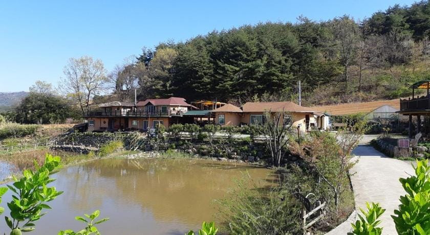 Red Clay Pension Dream Conversation Bed and Breakfast in South Korea