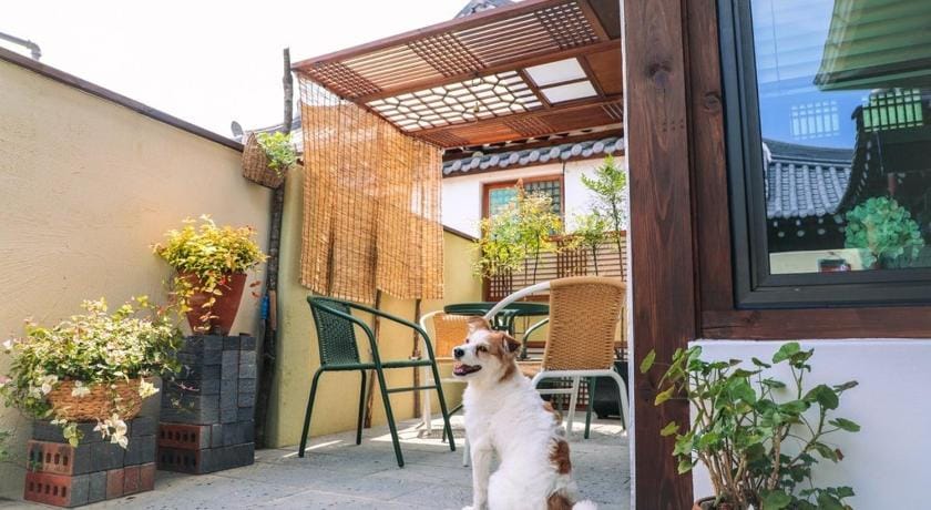 Happiness on Jacuzzi Private Pension Bed and Breakfast in South Korea