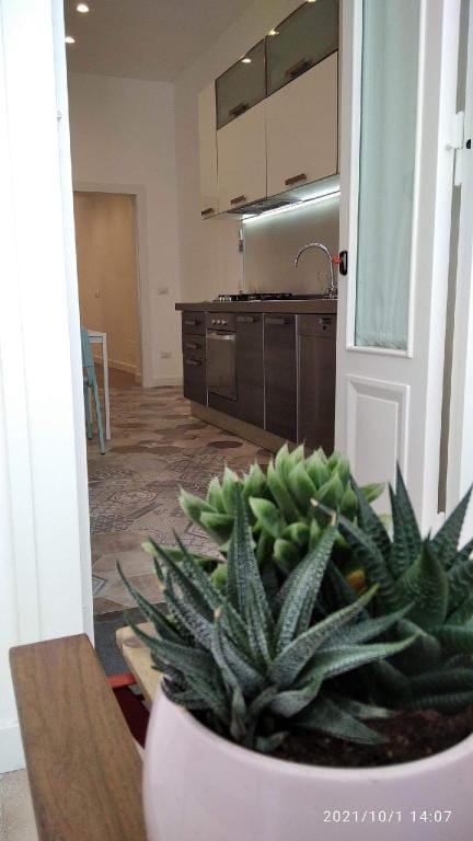 Mini apartment with bathroom and kitchen for exclusive use Bed and Breakfast in Naples