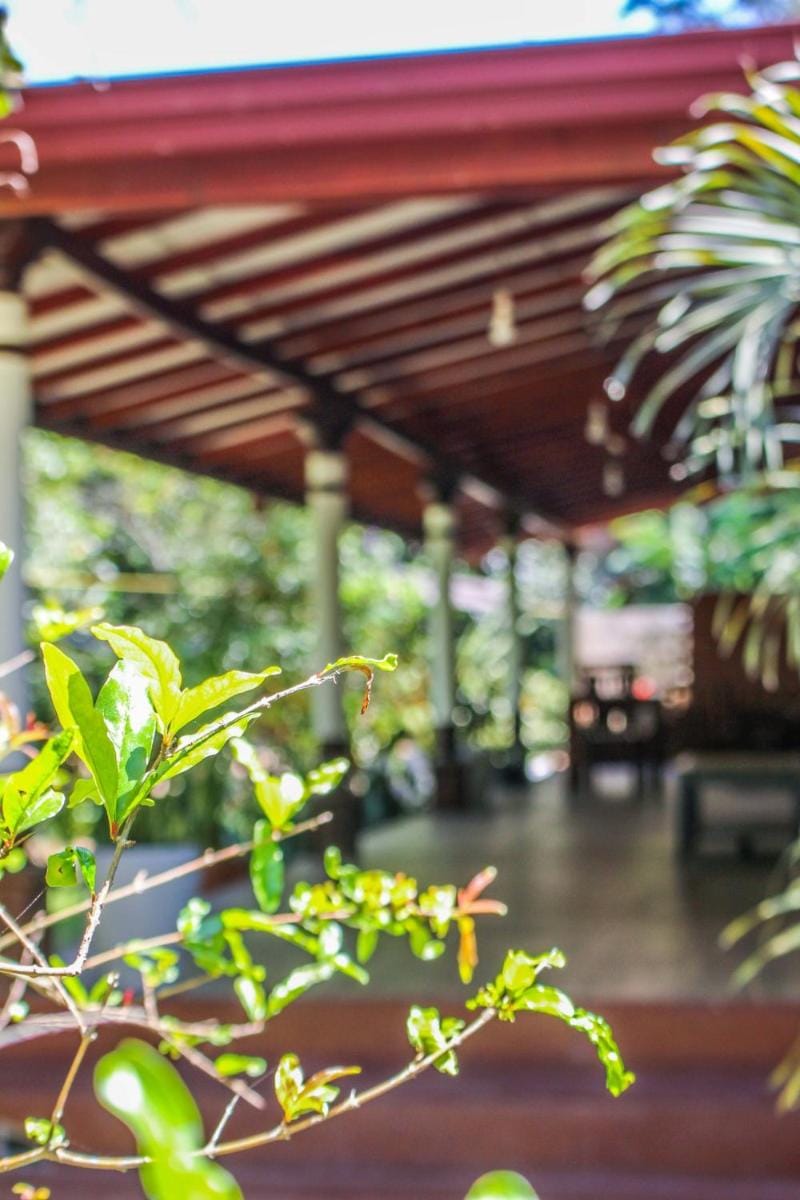 Lavender Homestay Vacation rental in Ella