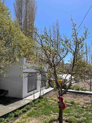 Summer home Vacation rental in India