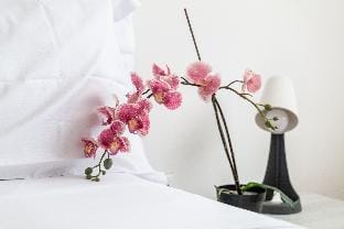 ShortMi Balilla Apartment in Milan
